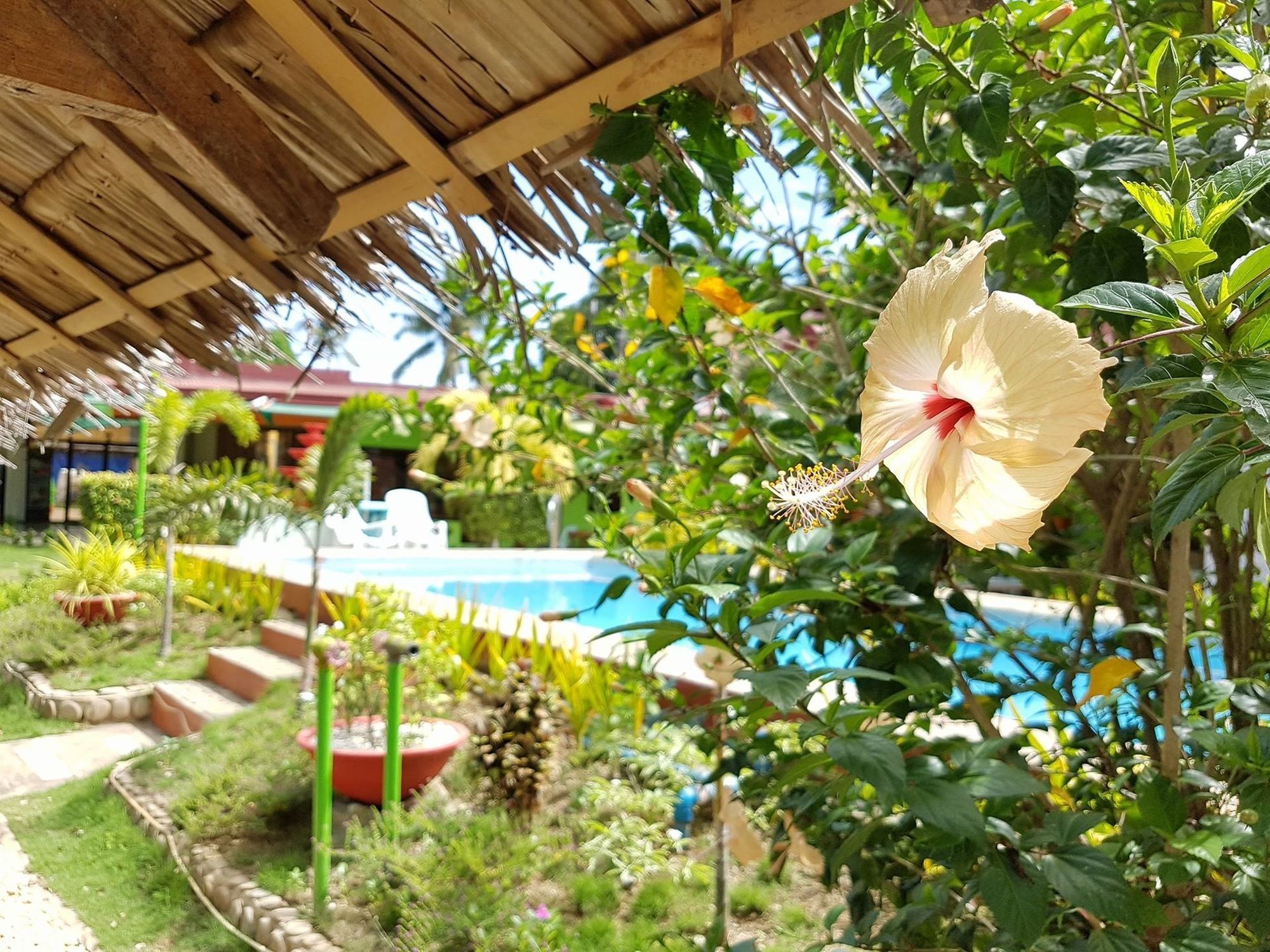 פורטו פרינססה Green Park Tourist Inn מראה חיצוני תמונה